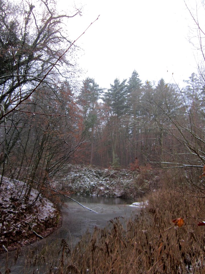 20121202Schwetzinger_Hardt26