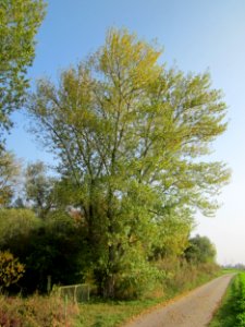 20121023Tongrube_Ketschau3