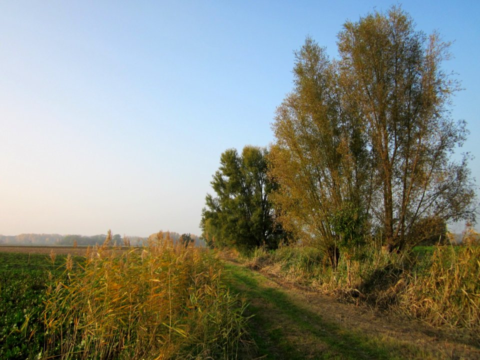 20121024Katzengraben17
