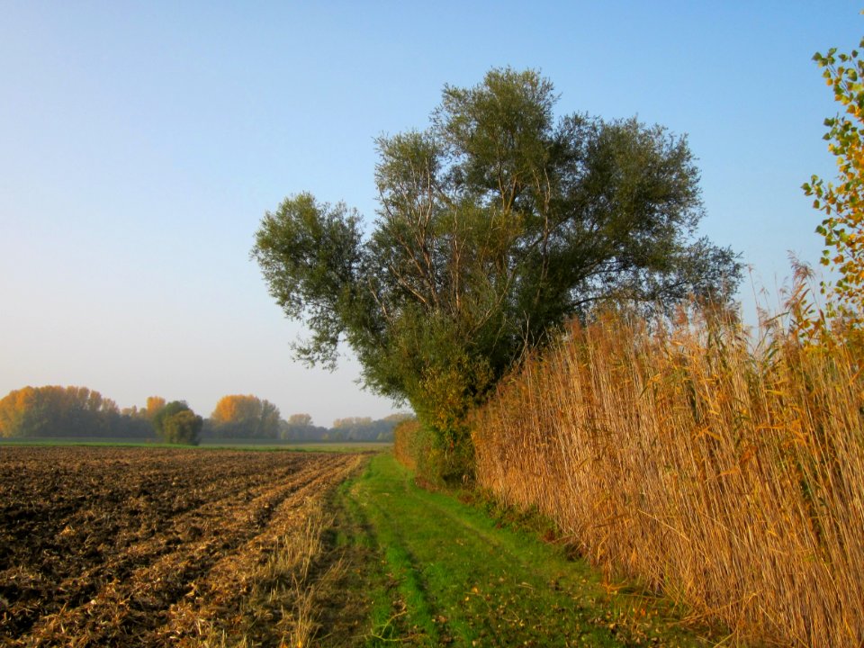 20121024Katzengraben07