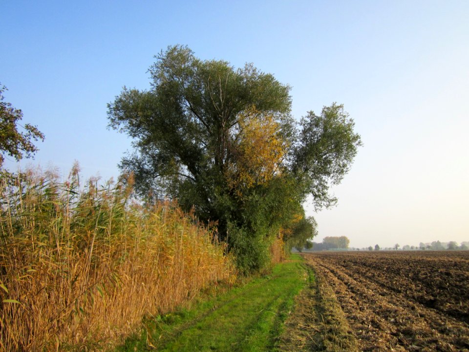 20121024Katzengraben03
