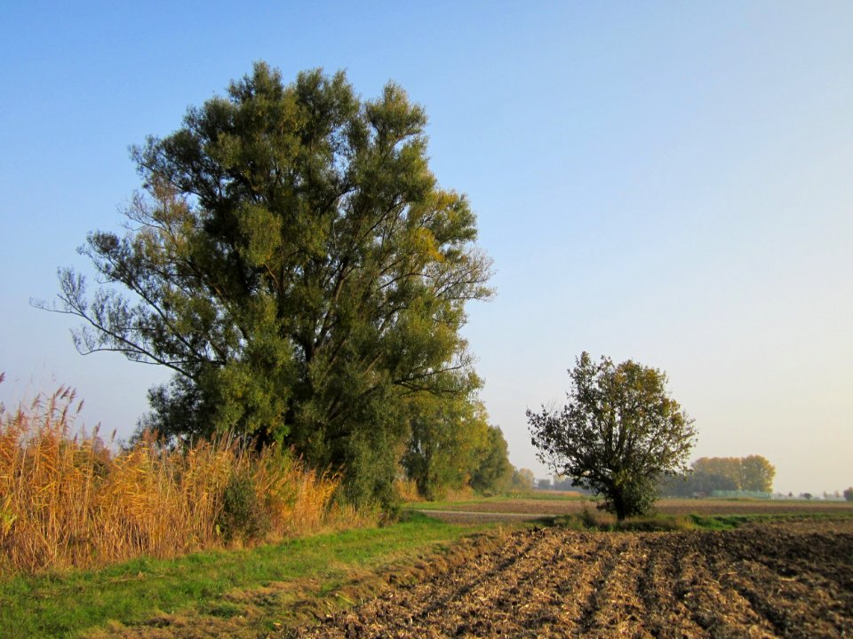 20121024Katzengraben09