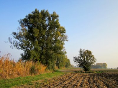 20121024Katzengraben09