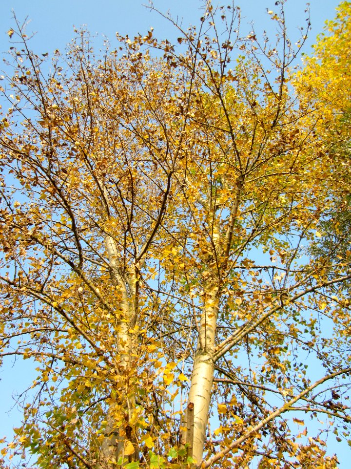 20121024Katzengraben05