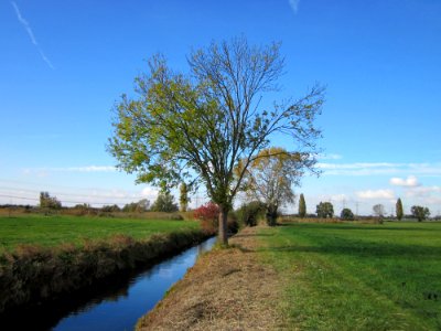 20121028Hockenheimer_Rheinbogen03