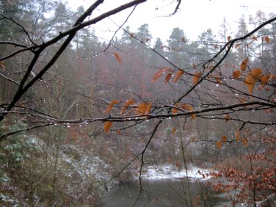 20121202Schwetzinger_Hardt29