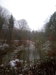 20121202Schwetzinger_Hardt22