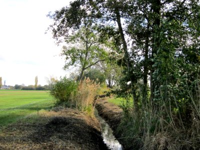 20121028Hockenheimer_Rheinbogen01