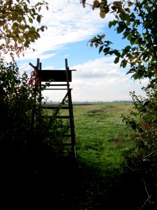 20121028Hockenheimer_Rheinbogen09