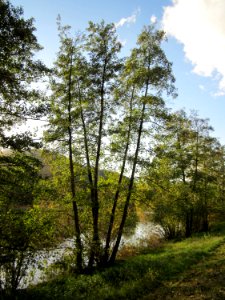 20121106Erle_Saarbruecken2