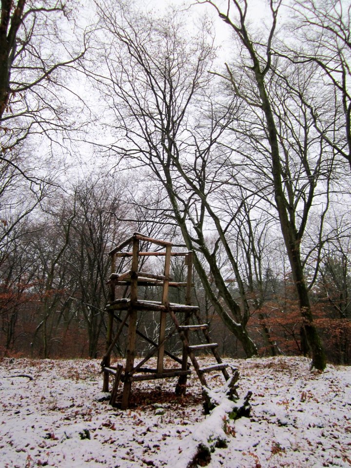 20121202Schwetzinger_Hardt21