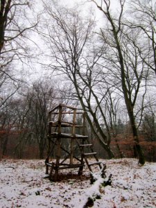 20121202Schwetzinger_Hardt21