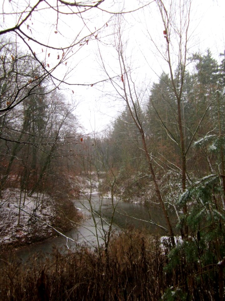 20121202Schwetzinger_Hardt23
