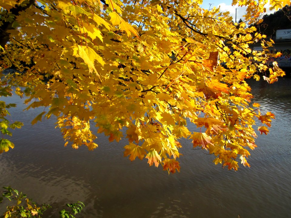20121106Staden_Saarbruecken12