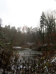20121202Schwetzinger_Hardt31