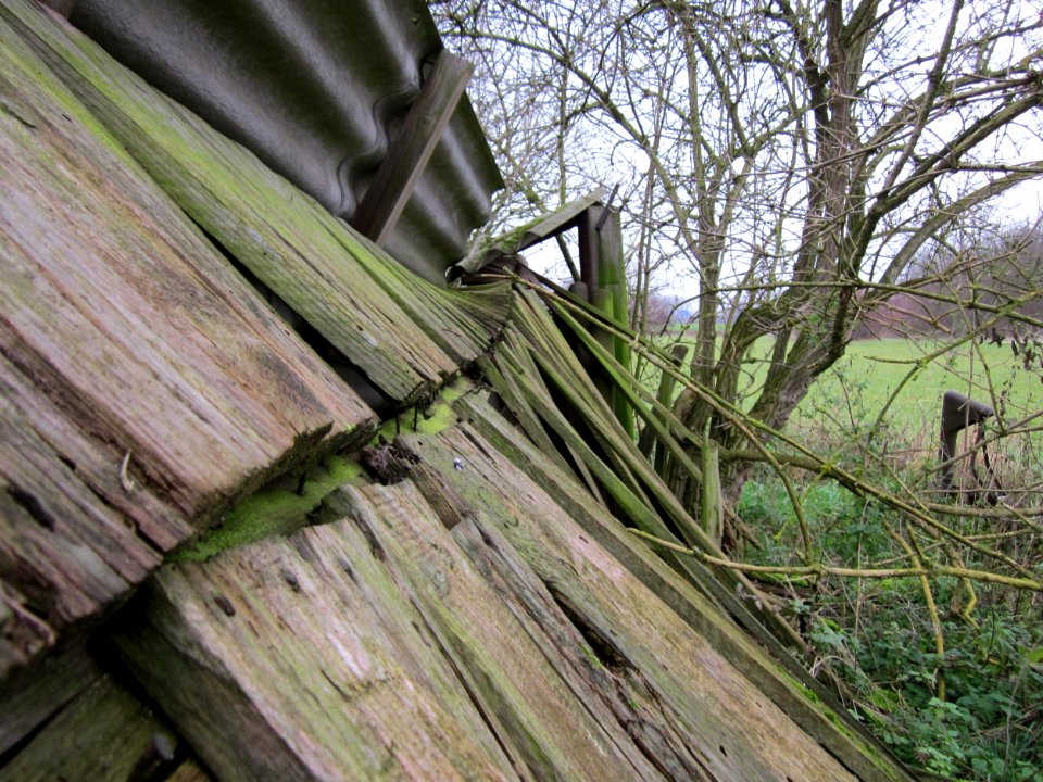 20121123Schuppen_Hockenheim3