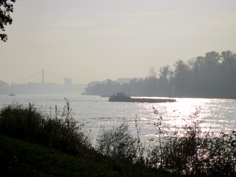 20121022Rhein_Hockenheim03