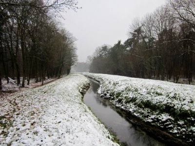 20121202Schwetzinger_Hardt16