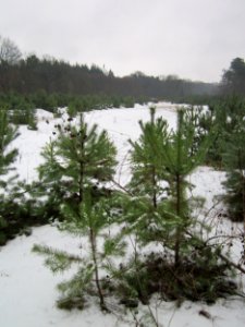 20121202Schwetzinger_Hardt04