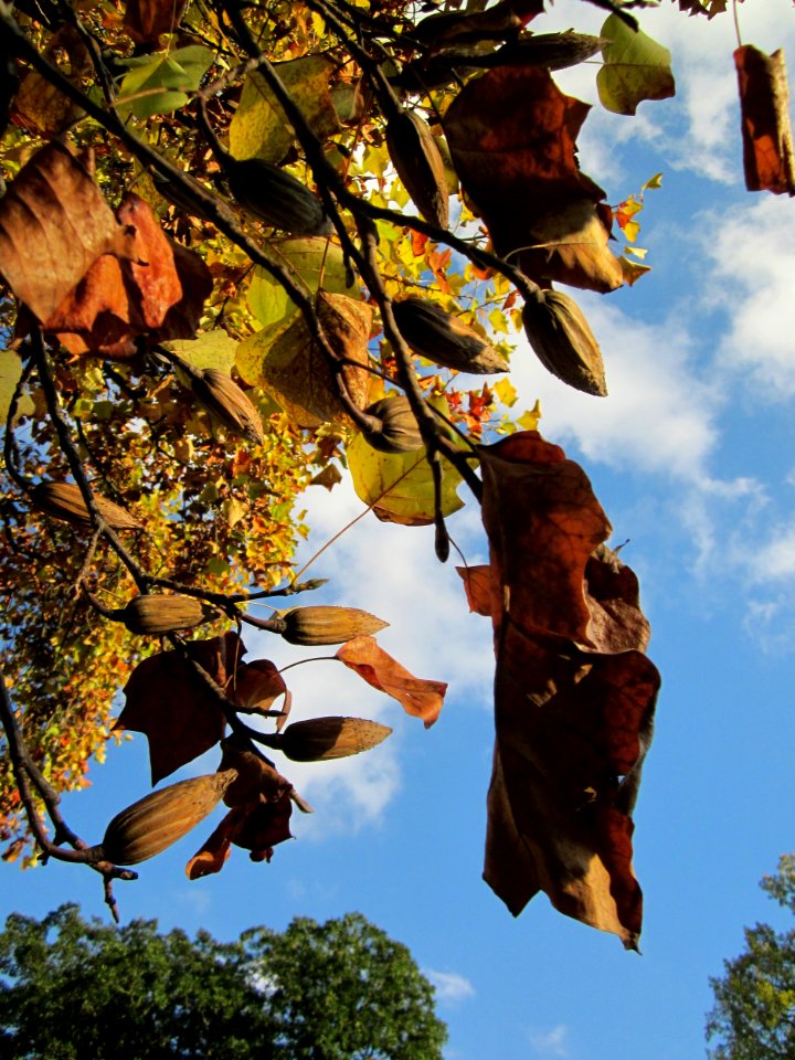 20121106Staden_Saarbruecken05