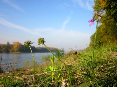 20121022Rhein_Hockenheim08