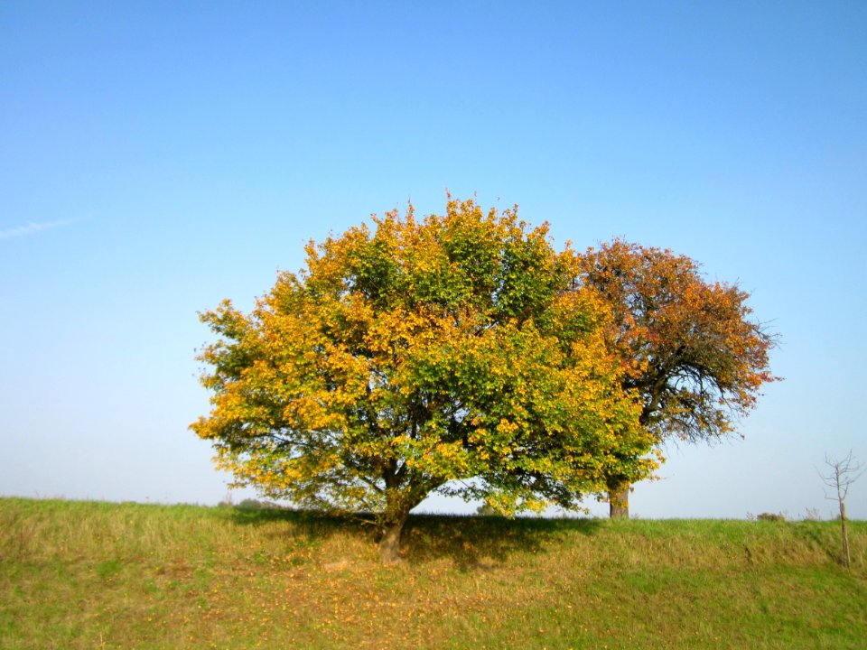 20121023Feldahorn_Hockenheim2