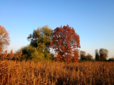 20121113Schleiwiese07