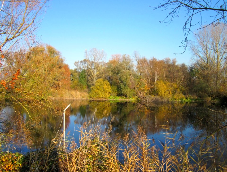 20121113Holzgraben_Ketschau2