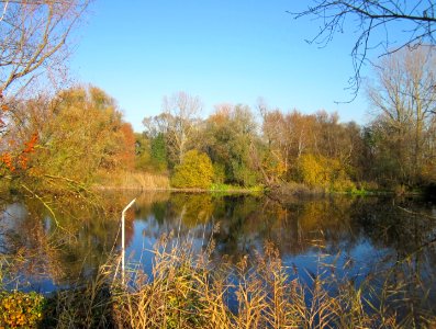 20121113Holzgraben_Ketschau2