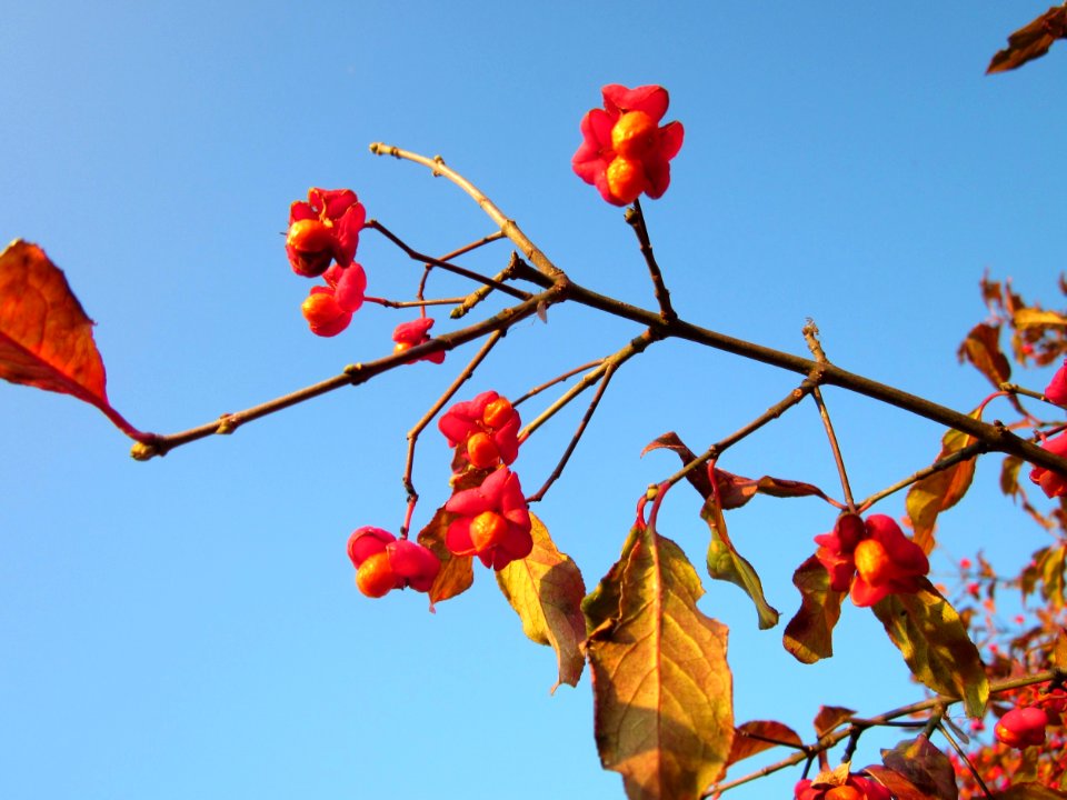 20121113Pfaffenhuetchen_Hockenheim4