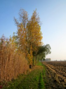 20121024Katzengraben04