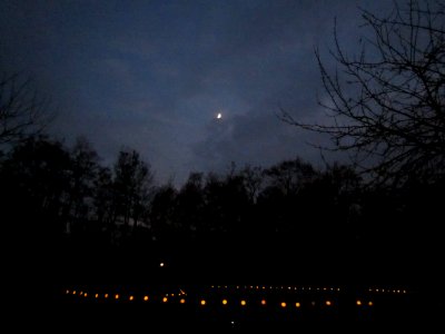 20121118Buergerpark2