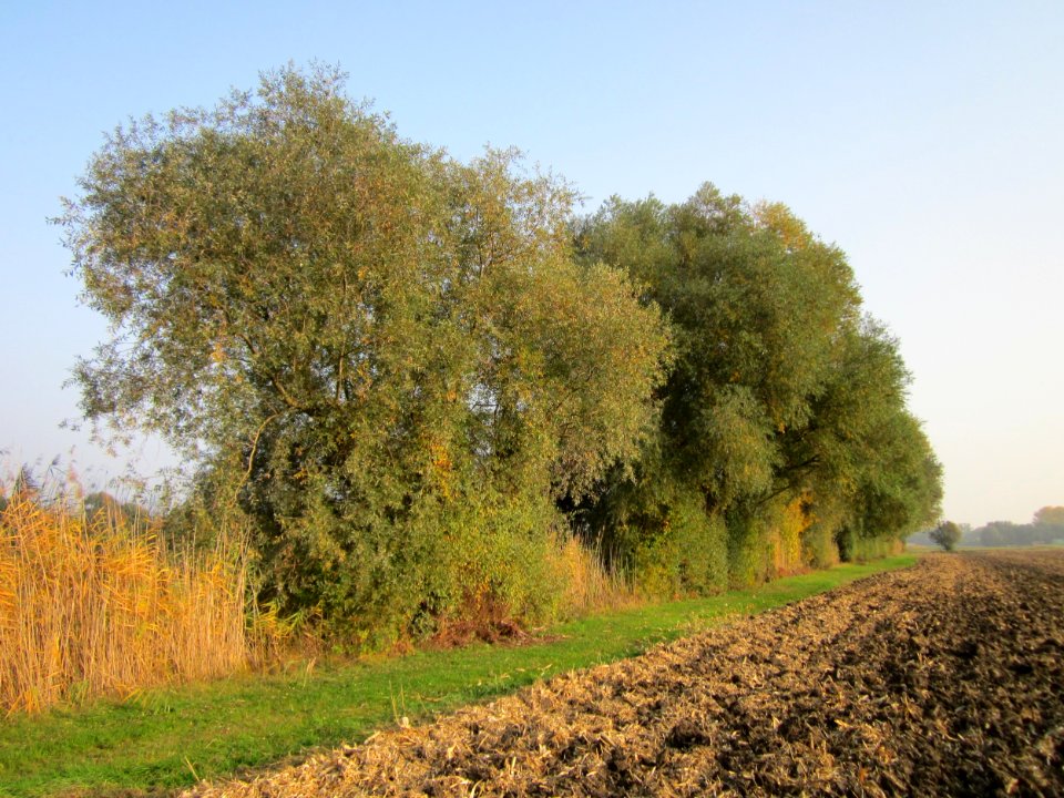 20121024Katzengraben08
