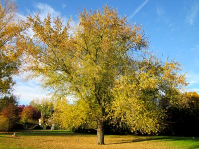 20121028Silberahorn_Hockenheim2