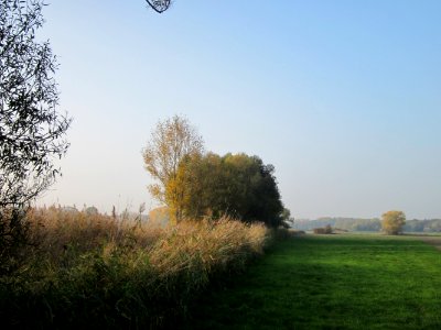 20121024Katzengraben11