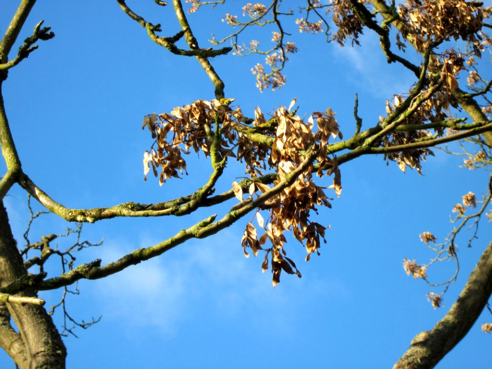 20121106Staden_Saarbruecken09