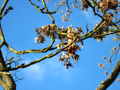 20121106Staden_Saarbruecken09