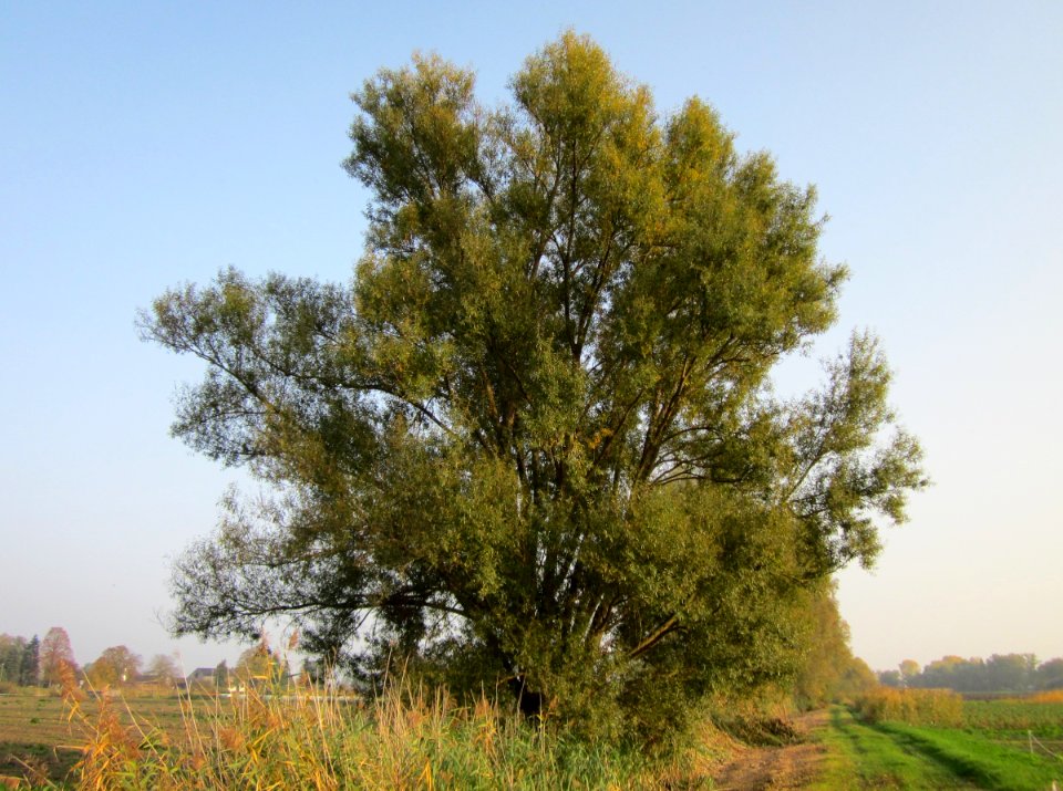20121024Katzengraben16