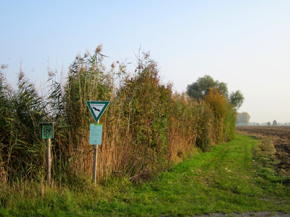 20121024Katzengraben02