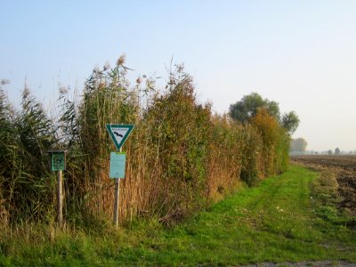 20121024Katzengraben02