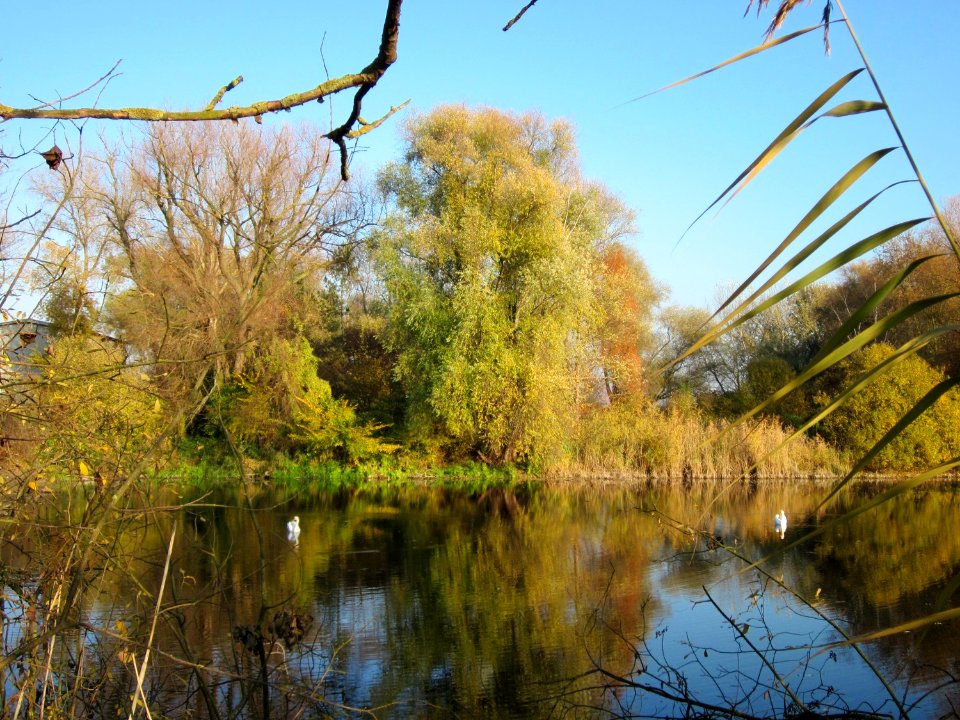 20121113Holzgraben_Ketschau3