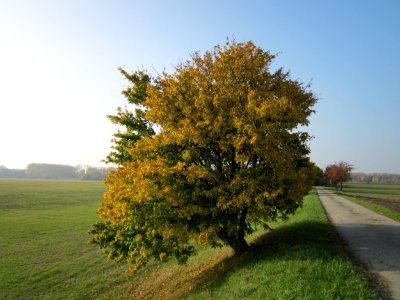 20121023Feldahorn_Hockenheim1