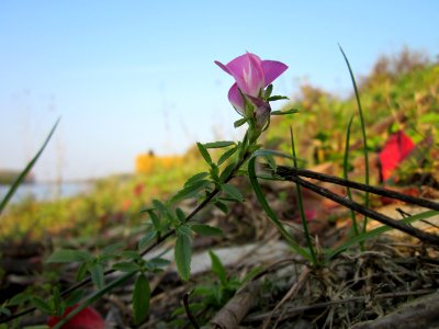 20121023Rhein_Hockenheim7