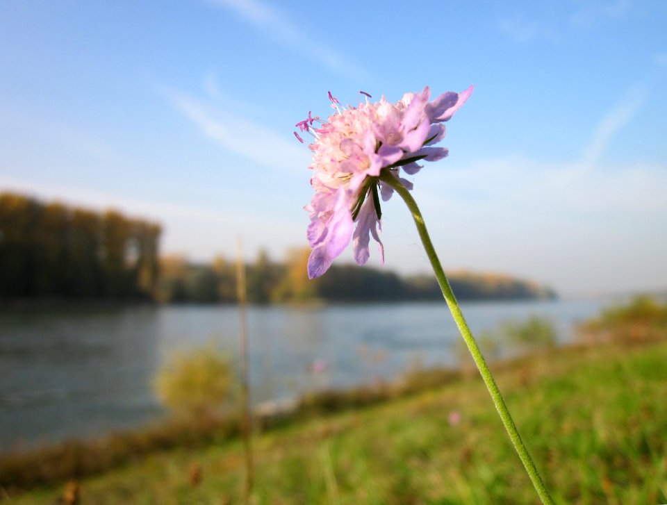 20121022Rhein_Hockenheim04
