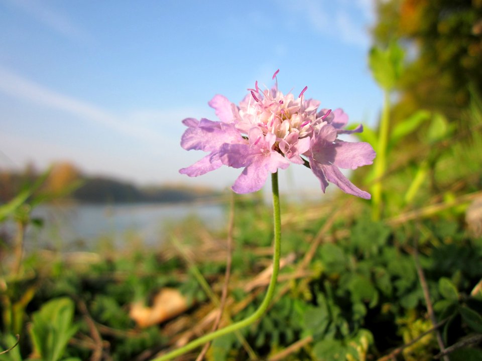 20121022Rhein_Hockenheim09
