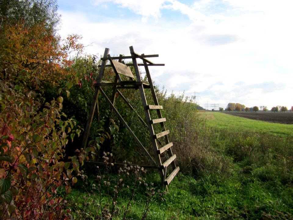 20121028Hockenheimer_Rheinbogen10