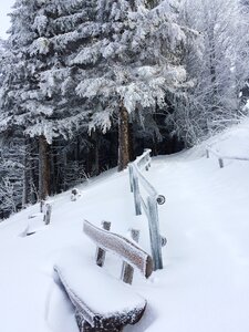 Snow winter bank photo