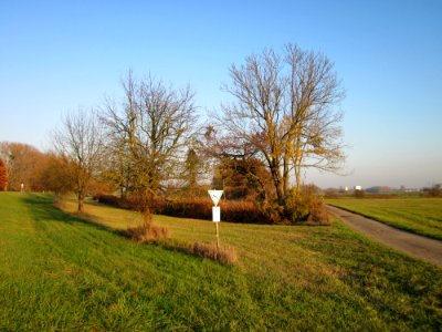 20121113Schleiwiese01
