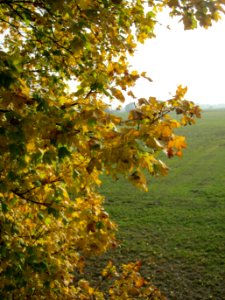 20121023Feldahorn_Hockenheim7