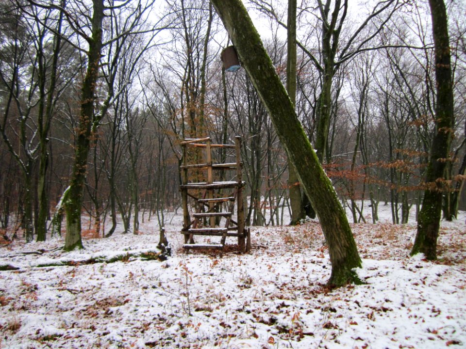 20121202Schwetzinger_Hardt20